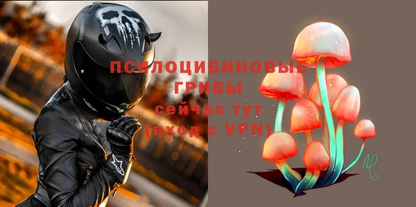 прущие крисы Армянск