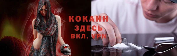 амф Арсеньев